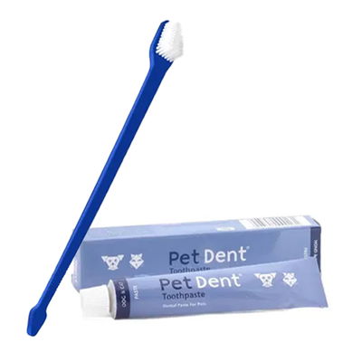 Dental Care Kit